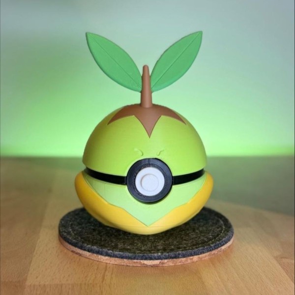 0387 - Tortipouss Ball