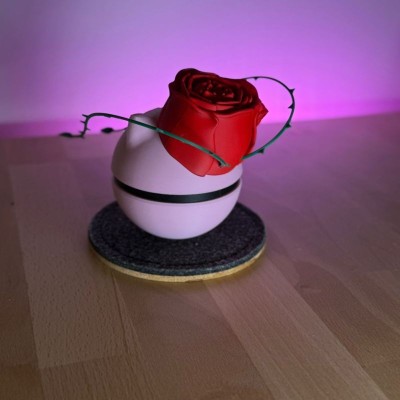 Bulbizarre Rose 3D – Édition Cœurs Collector Pokémon | Farken3DPrint